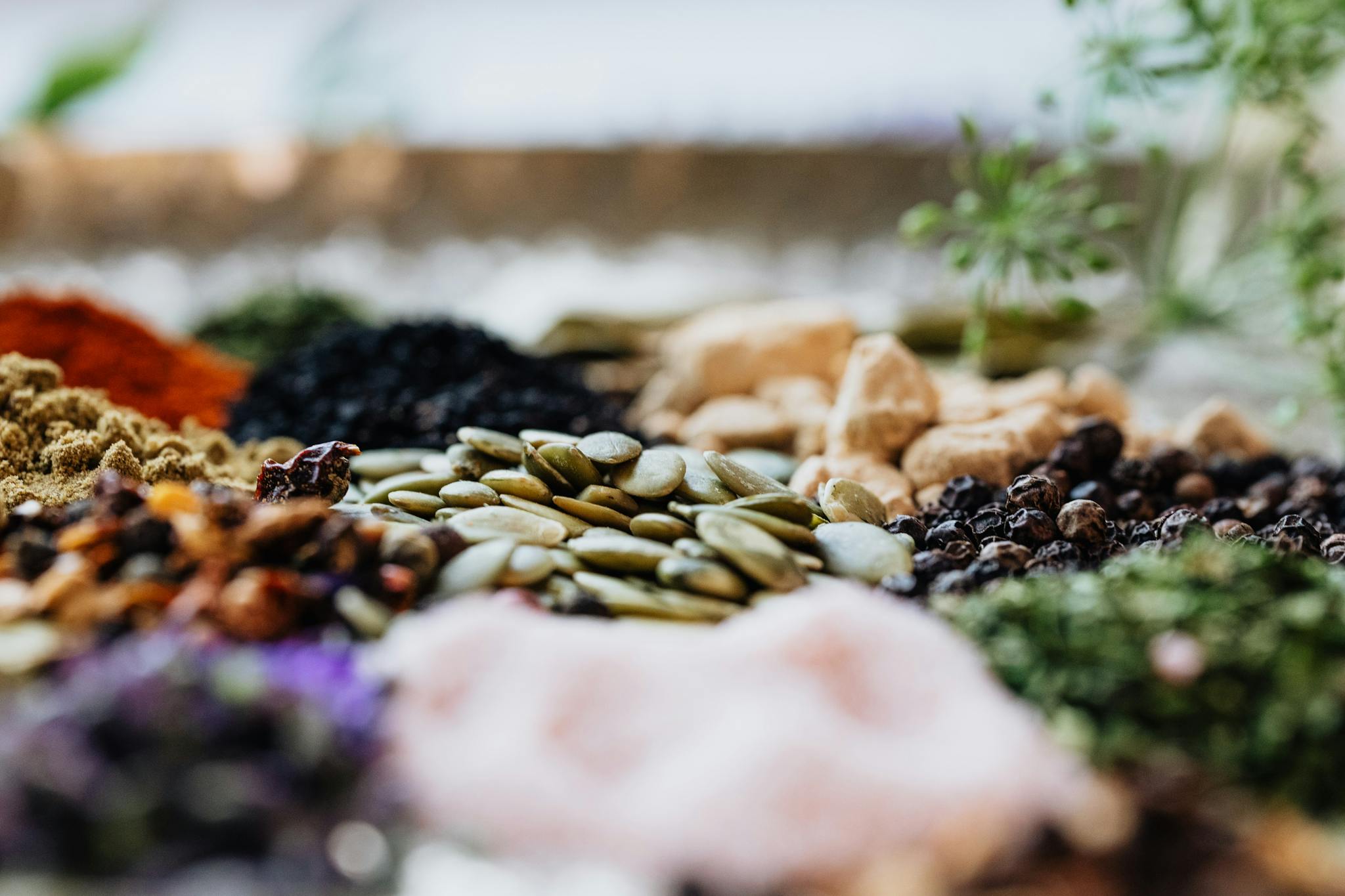 Close-up of assorted spices and seeds showcasing culinary diversity.