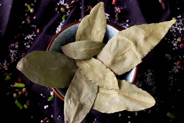Spices for cooking on black background